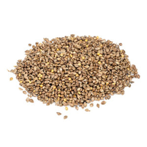 Barnyand Millets