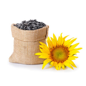 Sunflower Seeds